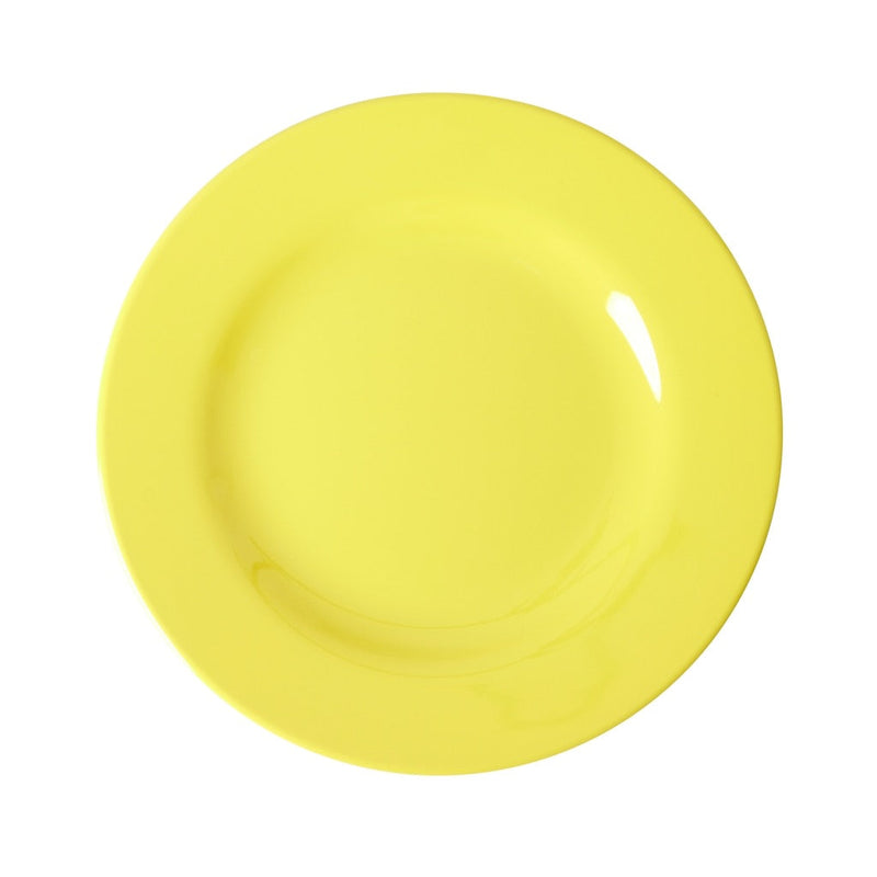 Melamine Lunch Plates in Assorted &