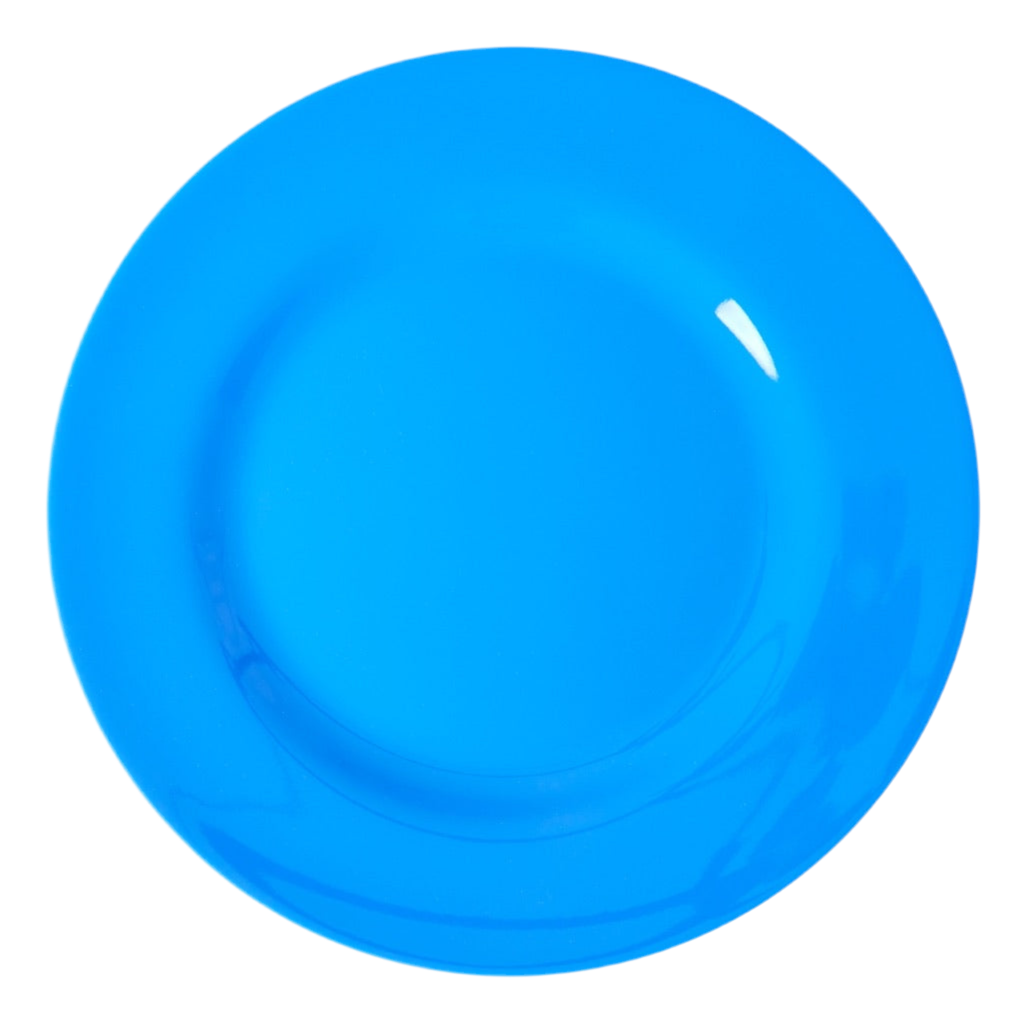Blue Dinner Plate - Rice By Rice