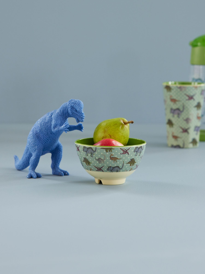 Small Melamine Bowl - Green - New Dino Print - Rice By Rice