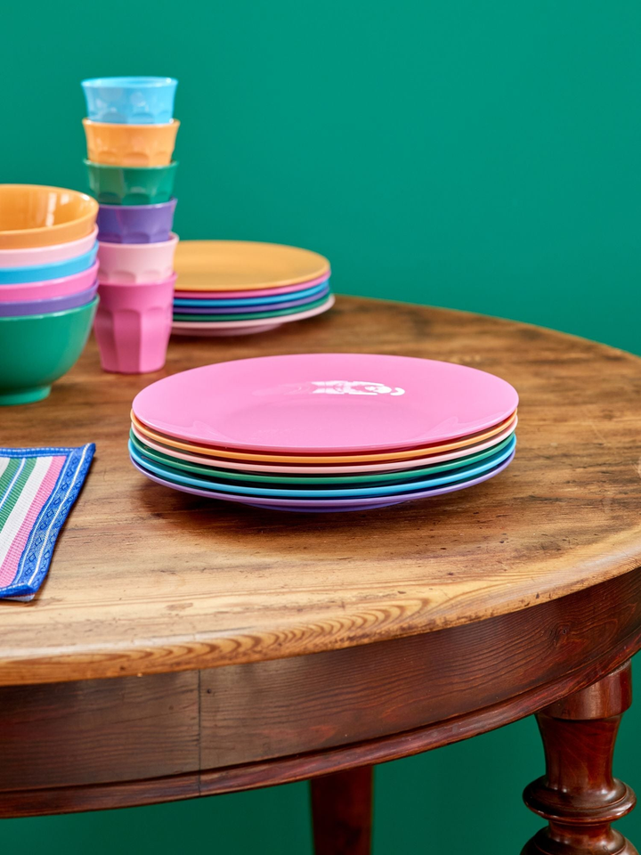 Melamine Dinner Plates in Assorted 'La Joie de Vivre' Colors - Set of 6  plates - Rice By Rice