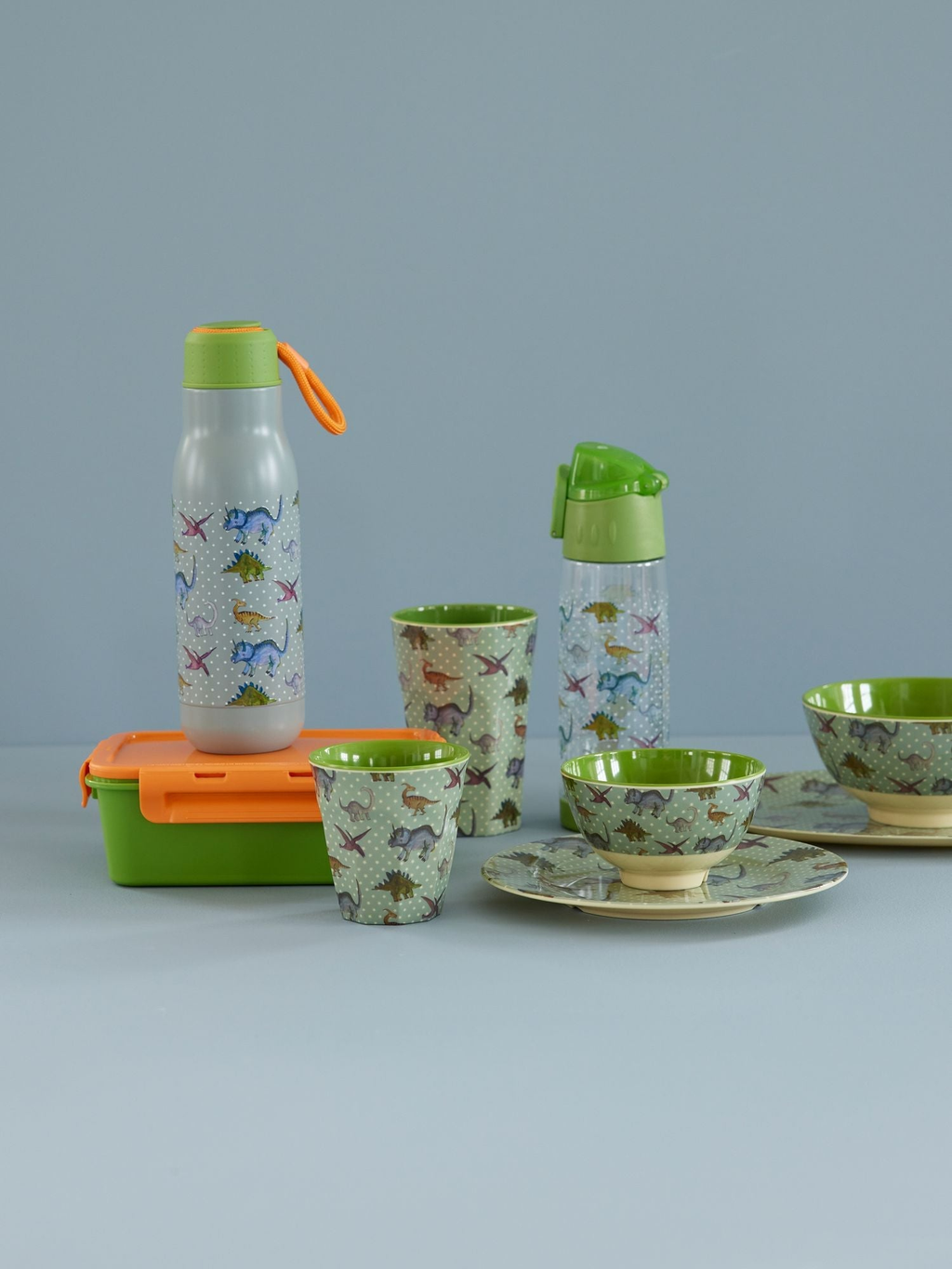 Stainless Steel Thermo Bottle | New Dino Print - Rice By Rice