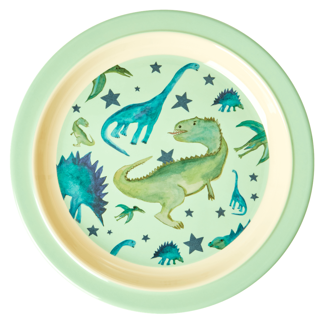 Melamine Kids Lunch Plate | Dinosaurs Print - Rice By Rice