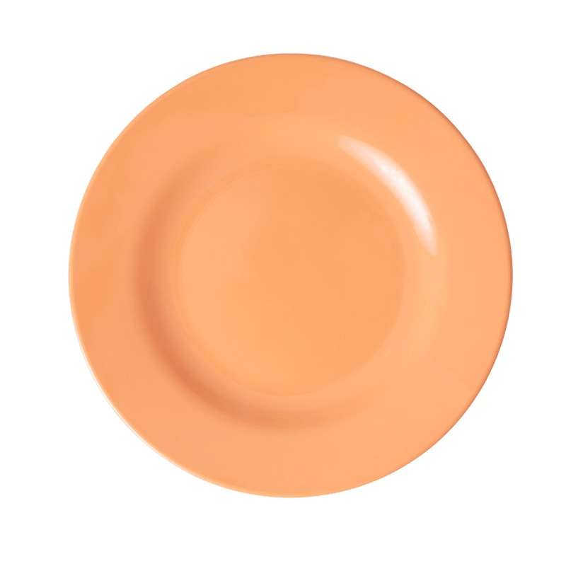 Melamine Lunch Plate | Soft Apricot - Rice By Rice