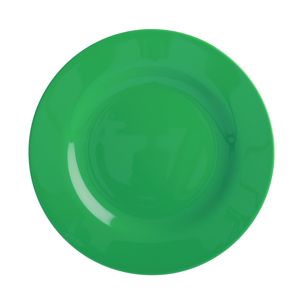 Melamine Lunch Plate | Forest Green - Rice By Rice